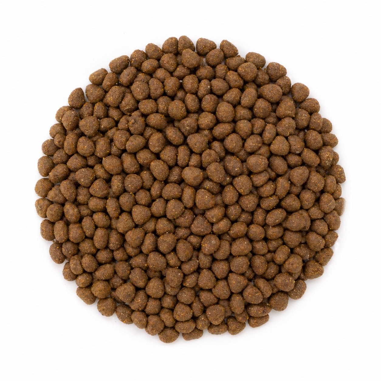 Avantis Cats kibble