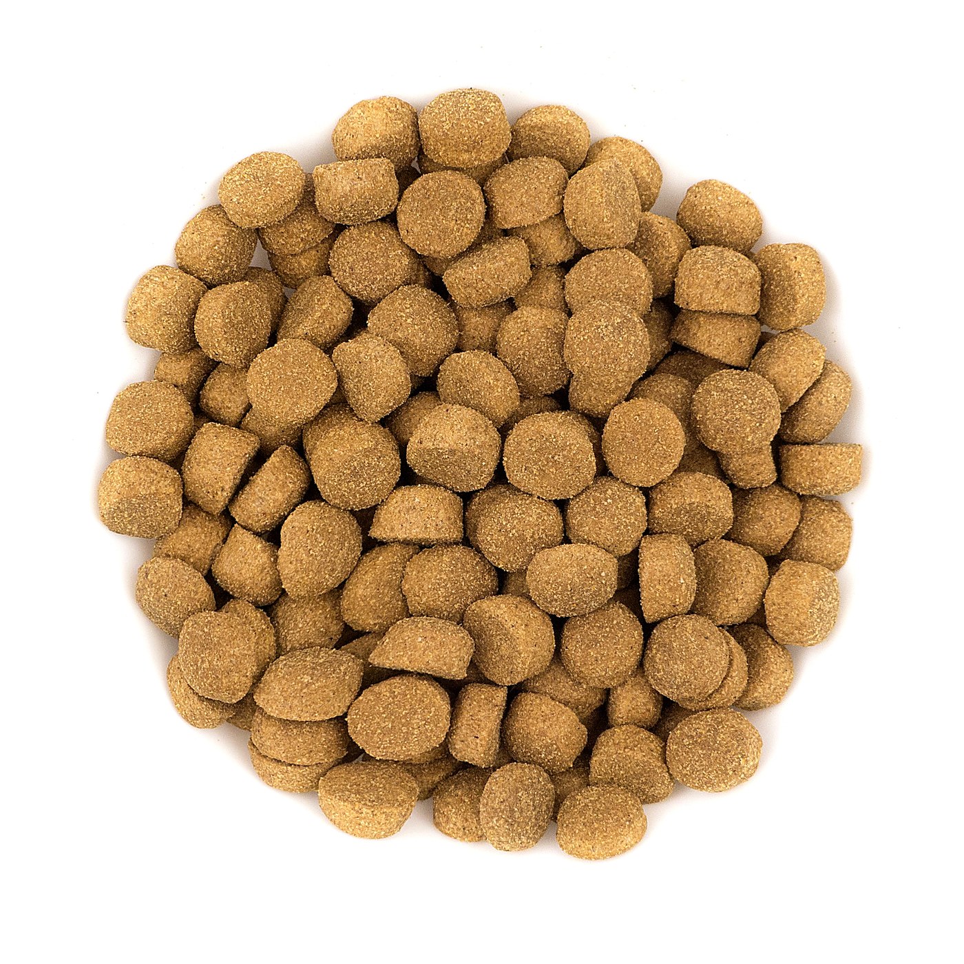 Avantis Gourmet kibble