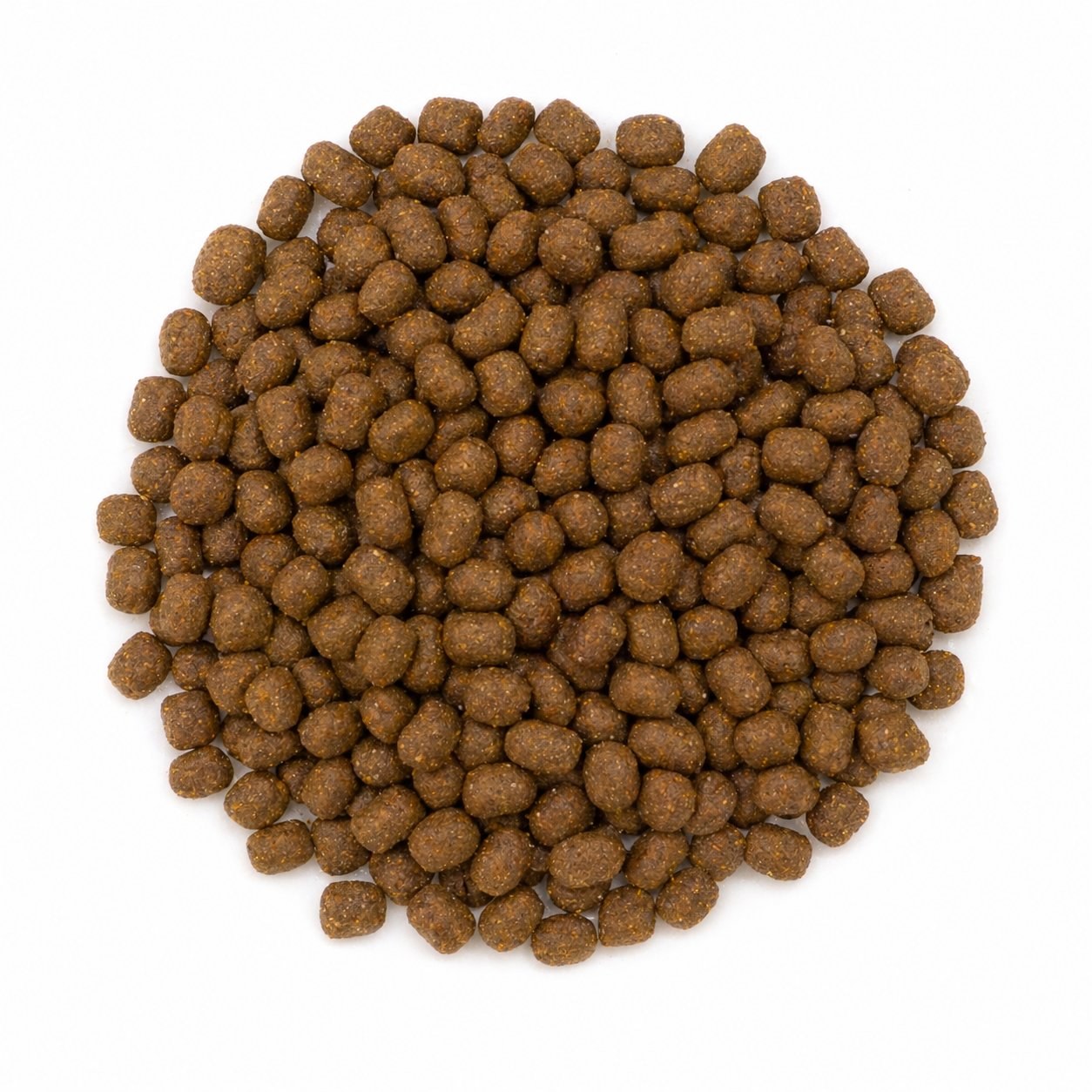 Avantis Mini kibble