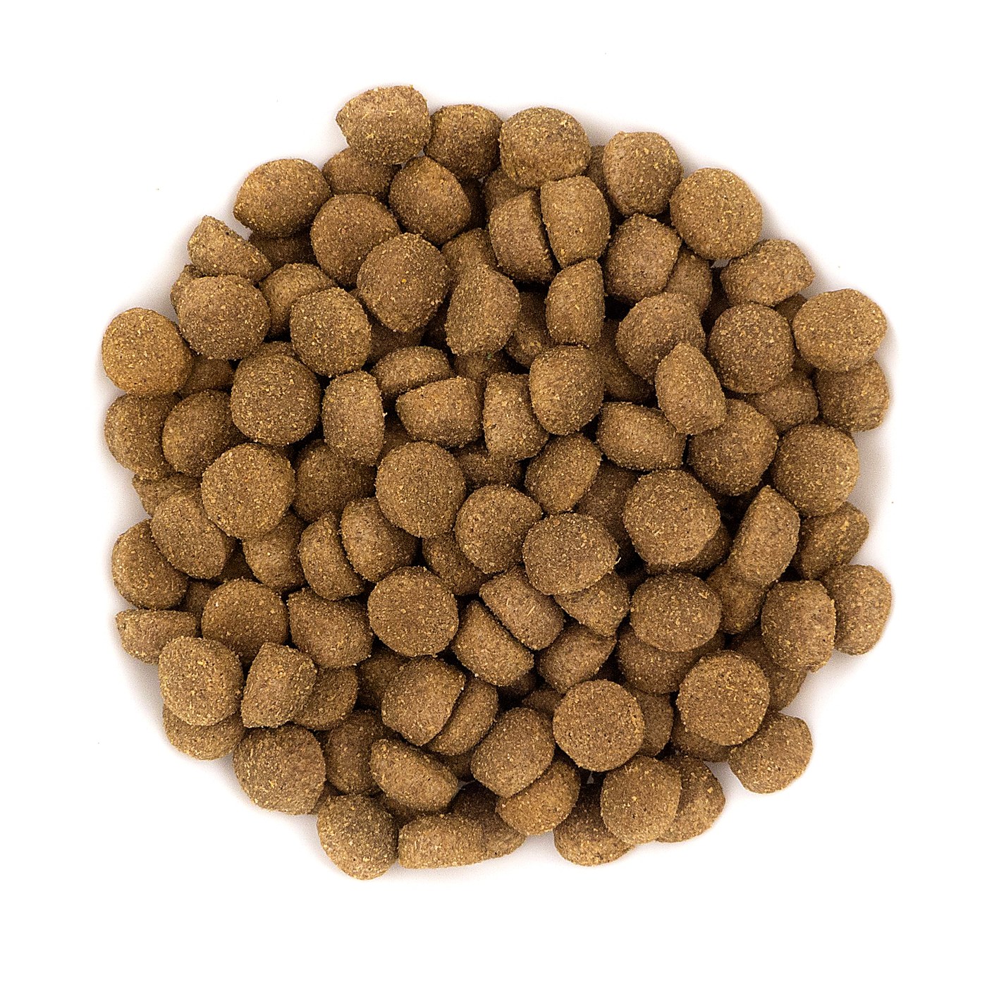 Avantis Original kibble