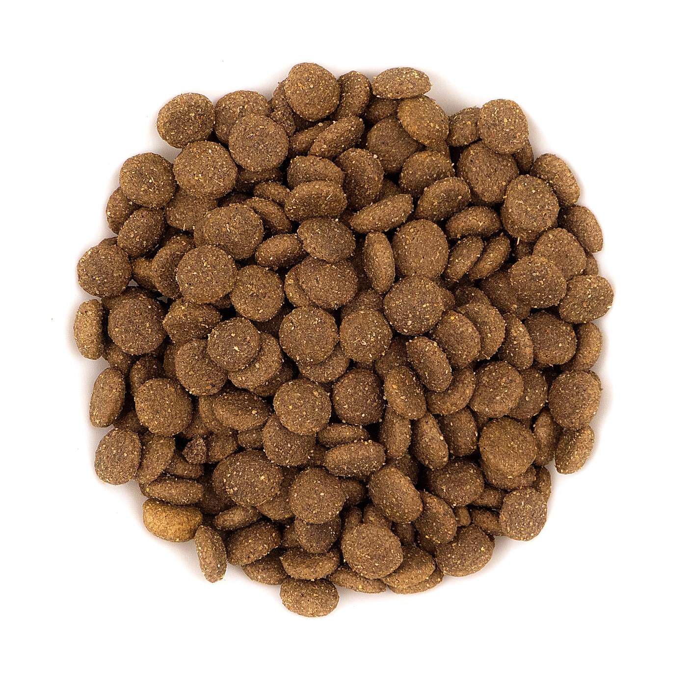 Avantis Performance kibble