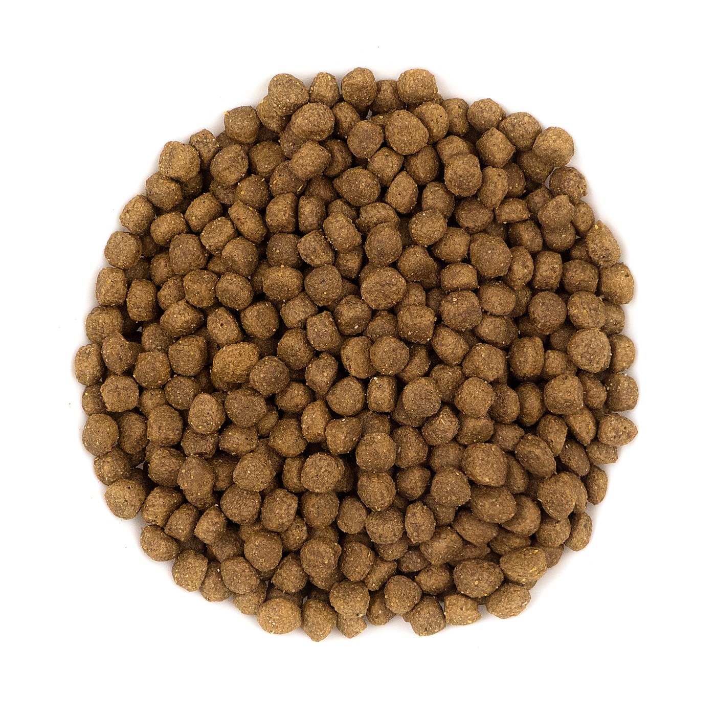 Avantis Puppy kibble